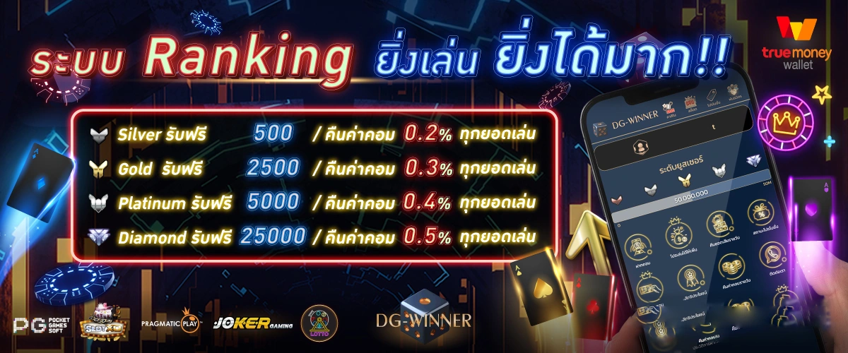 dg winner